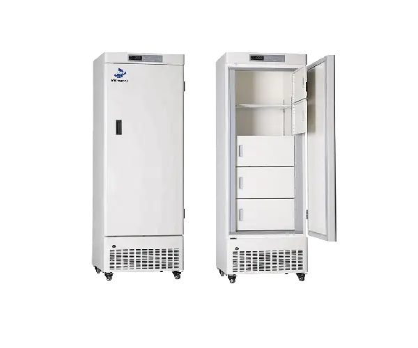 Vertical Freezer